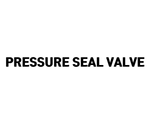 PRESSURE SEAL VALVE