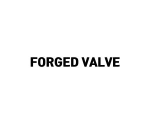 FORGED VALVE